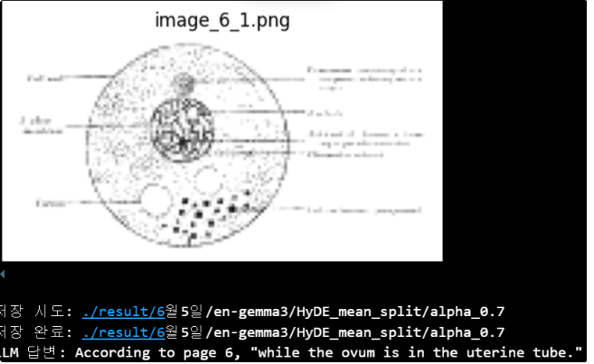image-20250726150101167